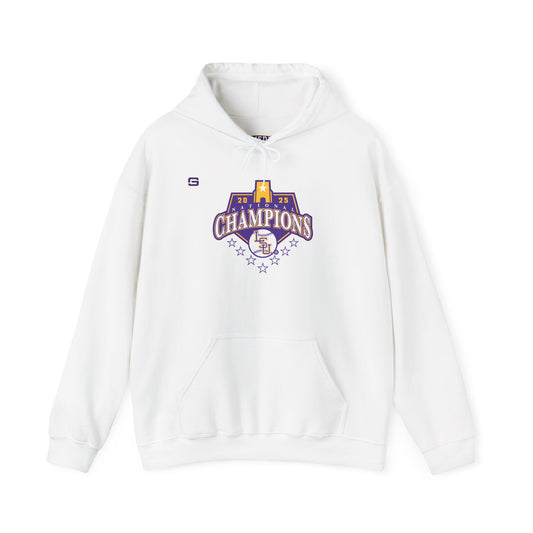 LSU Baseball National Champions Hoodie