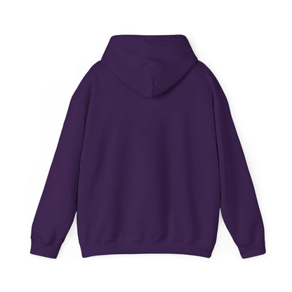LSU Baseball Tigers Hoodie